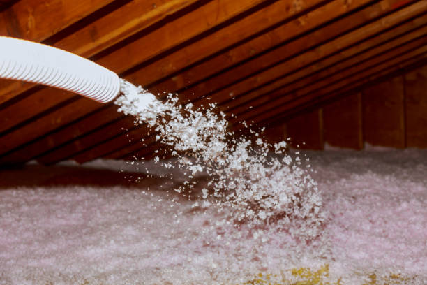 Best Commercial Insulation Services  in Haltom City, TX